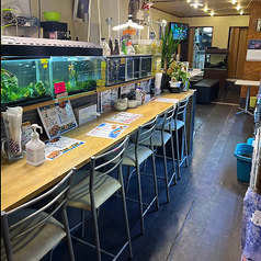 ◆お1人様大歓迎のカウンター席をご用意！可愛らしいメダカに癒されながら、お食事・お酒を楽しんで下さい。