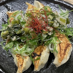 餃子居酒屋 松吉 まつきち 今出川店(上京区その他/居酒屋