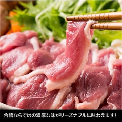 カモ(鴨)