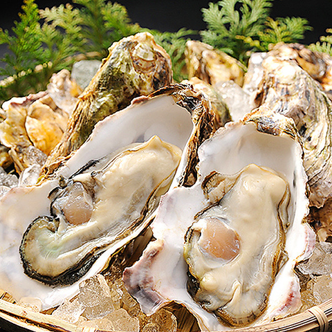 鮮度抜群の牡蠣が美味しい！海鮮が楽しめる居酒屋です！お得なコースもあります★