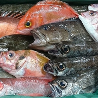 産地直送！とれたて鮮魚を毎日お届け◎