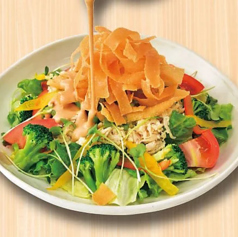 蒸し鶏と9種の彩り野菜のつぼ八サラダ