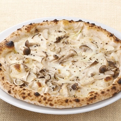 ナポリタイプ フンギ