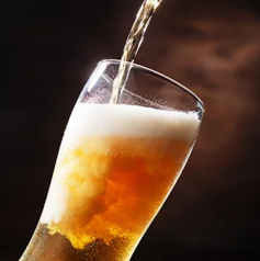 愛媛の「蔵元のみかん」などの果実酒やカクテルも充実！