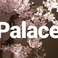 Palace パレスの画像