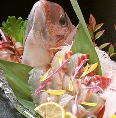 和の料理 べんてんのコース写真