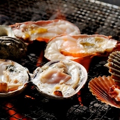 牡蠣料理さとやのコース写真