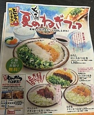 旨いとんかつ だるま家 勝原店のおすすめ料理1