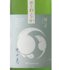 【千葉県】飯沼本家 甲子 純米やわらか地の恵