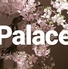 Palace パレスのロゴ