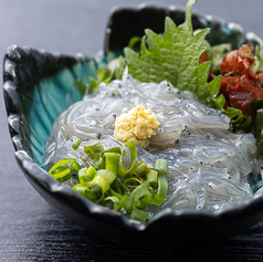 湘南名物!生しらす