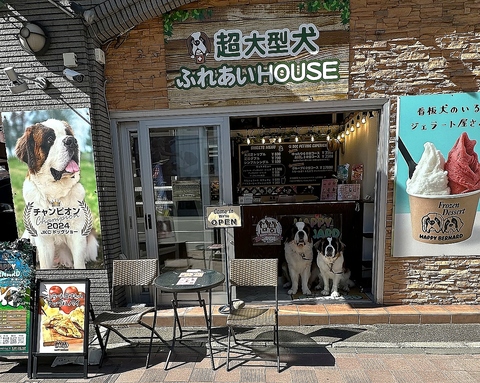 ふれあいHOUSE HAPPY BERNARDの写真