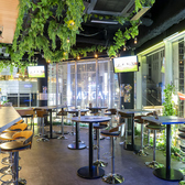 BAR STADIUM スタジアムの雰囲気3