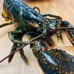 7be sante ナベサンテのコース写真