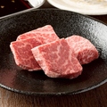 料理メニュー写真&nbsp;特選赤身ヒレ肉
