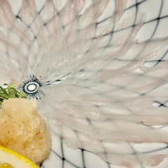 ウツボの薄造り