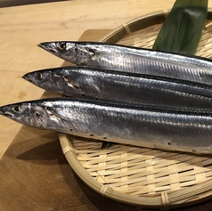 <秋刀魚>