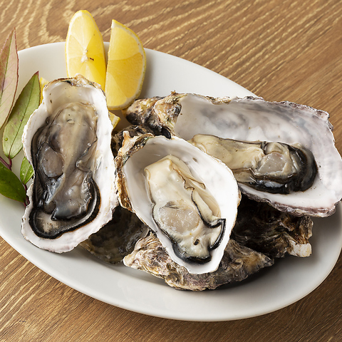 かき焼 ひら井 徳島駅 居酒屋 ホットペッパーグルメ