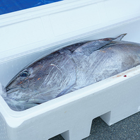 ボリューム満点◎新鮮な海鮮をランチでも堪能♪