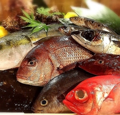 お得！！本日鮮魚の刺身いいとこ大切り四種盛り 約３～４人前