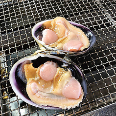 超希少！愛知県三河湾産大アサリ2枚