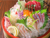 金魚の写真