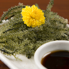 新鮮ぷちぷち！海ぶどうの魅力の写真