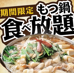 魚民 駒ヶ根店のコース写真