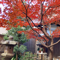 京都の四季を愉しむ