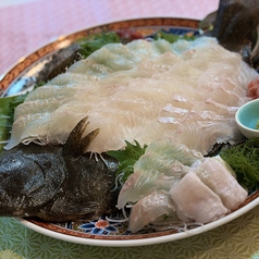 鮃姿造り