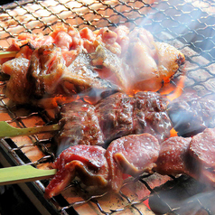 天文館 地鶏 焼き鳥 焼きとんを食べたい 特集 ホットペッパーグルメ