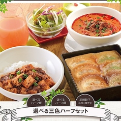 人気の三色ハーフランチ!!麺飯類が選べるように♪♪