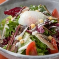 料理メニュー写真 鰹生節と土佐のフルーツトマトのシーザーサラダ