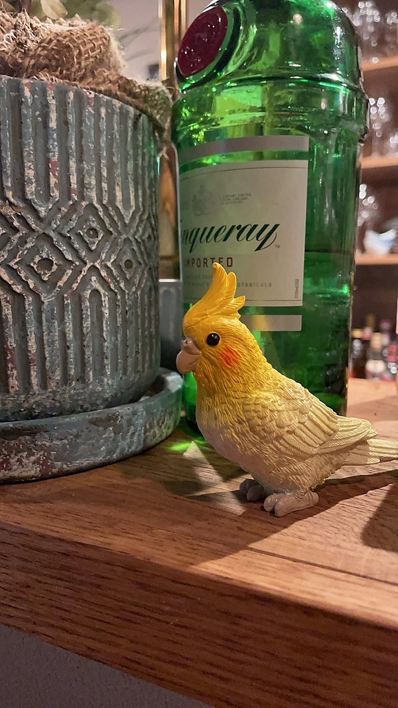 シェフの紀さんと話しながらお食事を楽しめるカウンター席は、常連さんからも大人気のお席です♪