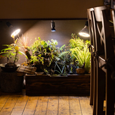 穏やかな時間をお楽しみください