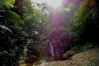 ■世界自然遺産沖縄の名水七滝の天然水