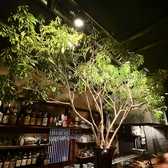 店内のＪＢＬのスピーカーから流れる上質な音楽やこだわりの１枚板を使ったカウンター、雰囲気あふれるおしゃれな空間は大切な人との優雅な時間を過ごすことができます。