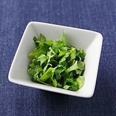 人気のパクチー盛り