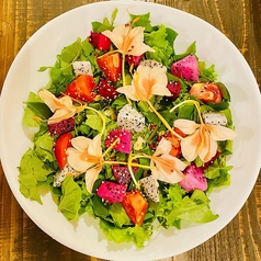 メガ盛ヴィーガンサラダ