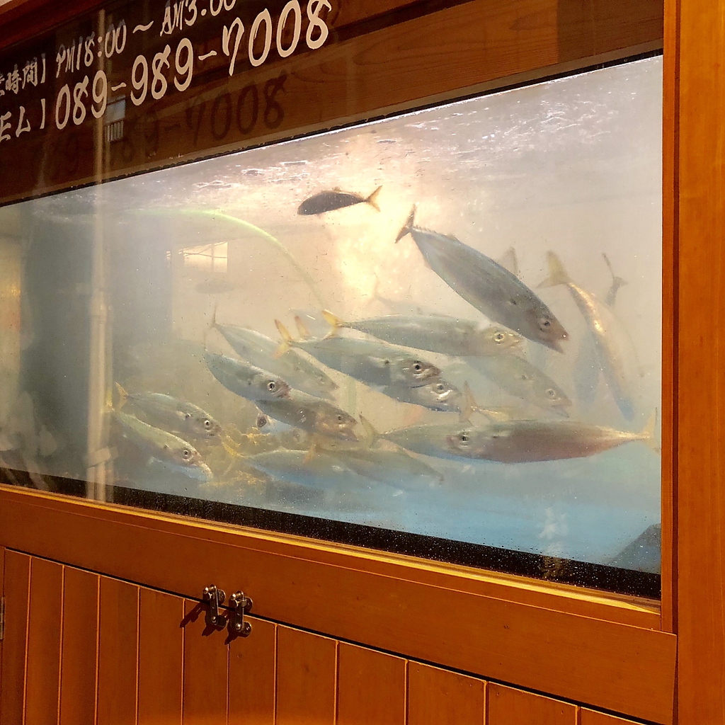 通りからも見えるダイナミックな生簀！優雅に泳ぐ網元鯖を目でも楽しめる♪