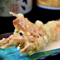 魚と天ぷらが旨い マジで居酒屋のおすすめ料理1