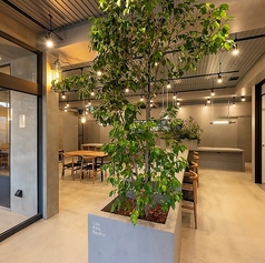 Cafe Ano Basho カフェアノバショの特集写真