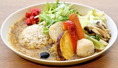 はるかなるカレー