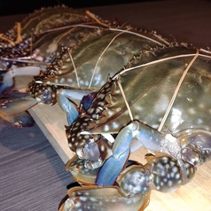 十割そば 松のコース写真