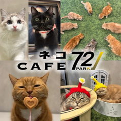 PARK72 ネコCAFEの写真