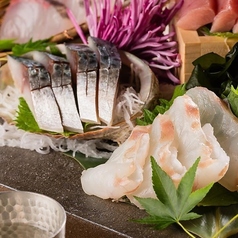 旬魚旬菜 極DINING 若旦那 新潟東大通店のコース写真