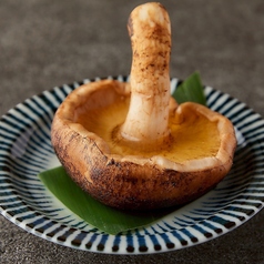 しいたけ