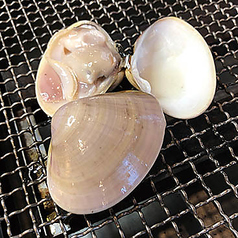国産天然ハマグリ2個
