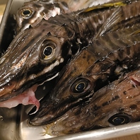 漁師直送の新鮮な魚を使用