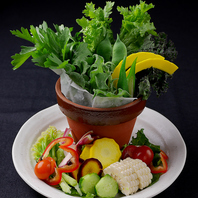 近江野菜の植木鉢サラダ